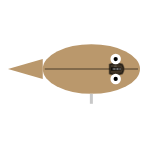 Sex: Male